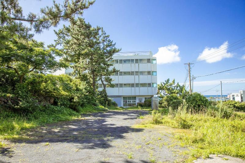 Jeju Badagurigi image