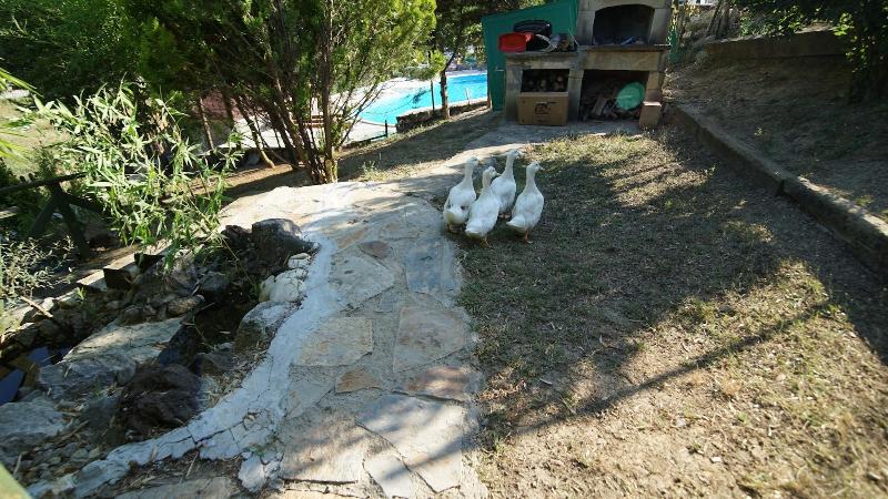 Castle Nolana — photo 3
