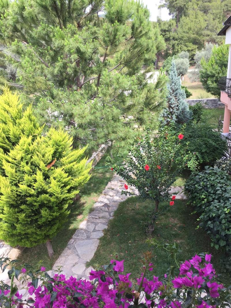 Selya Apart Hotel image