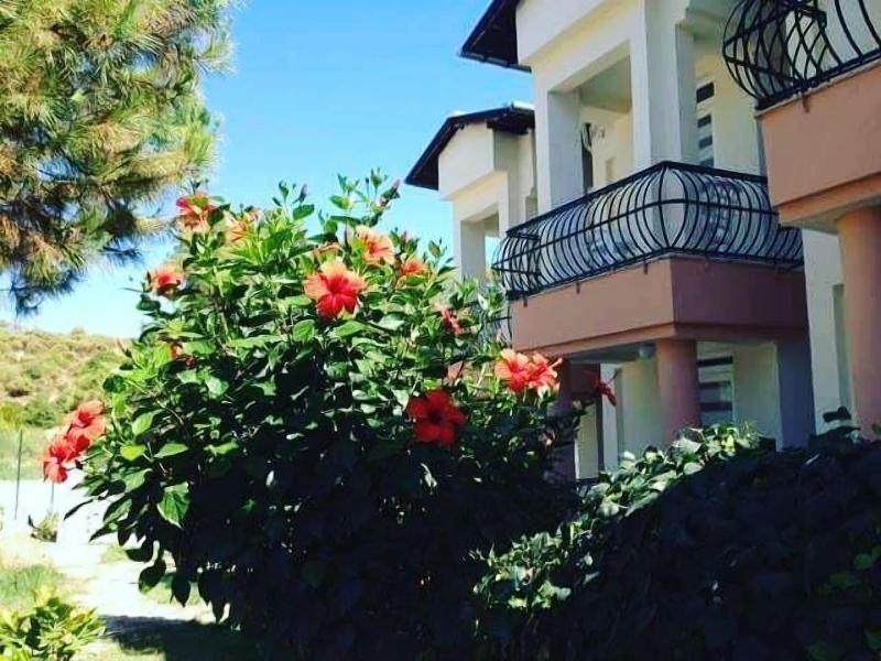 Selya Apart Hotel image