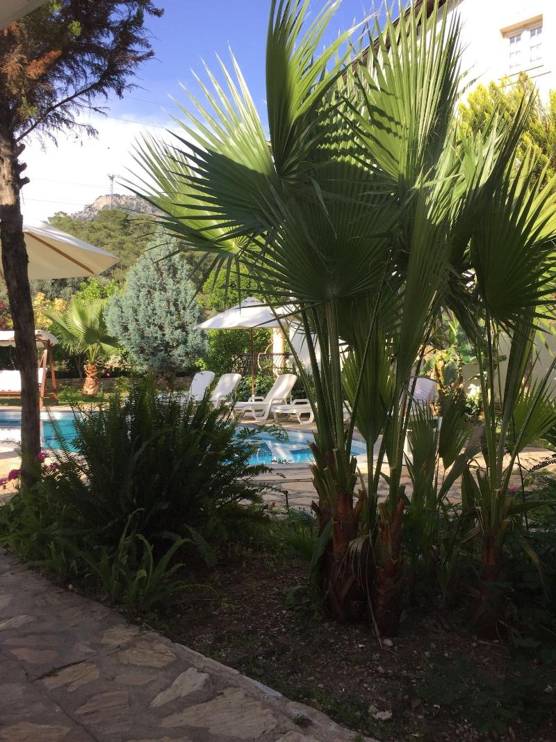 Selya Apart Hotel image