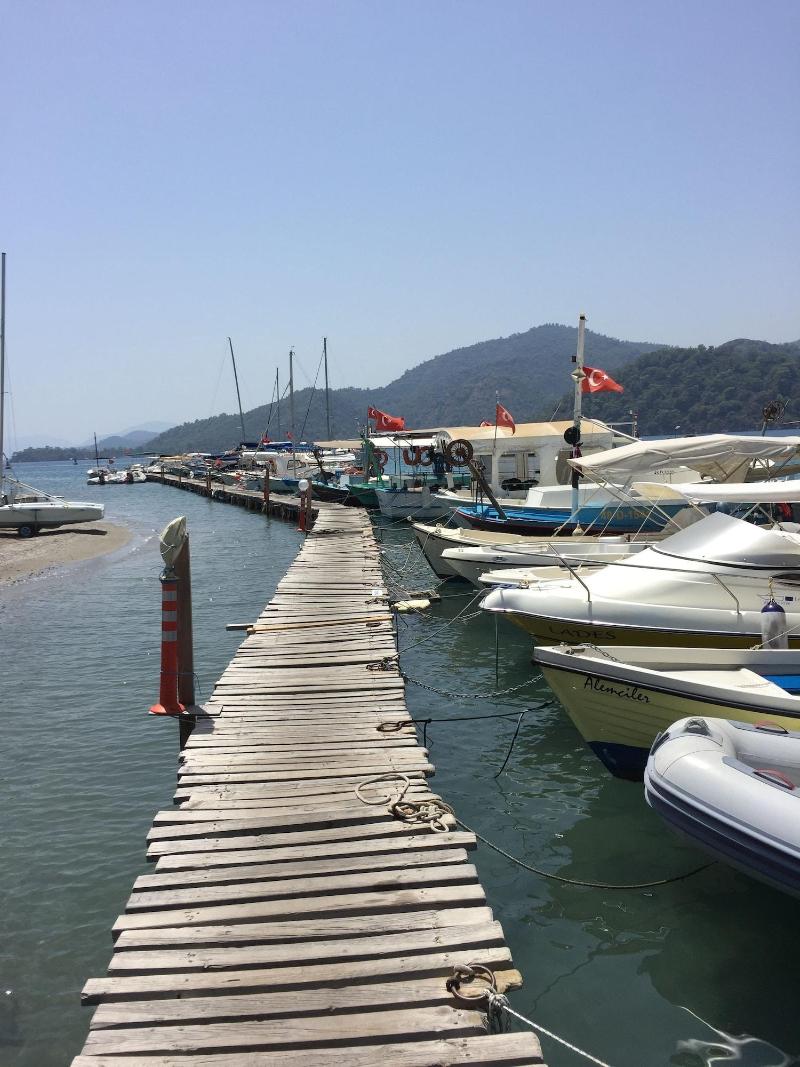 Selya Apart Hotel image