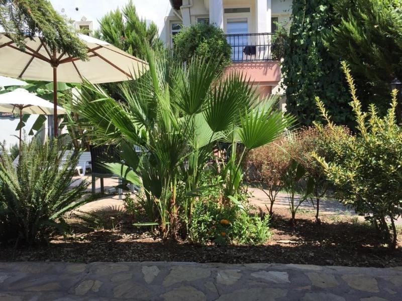 Selya Apart Hotel image