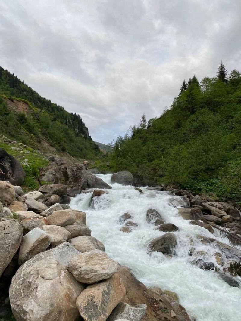 Serinyer Dagevi — photo 3