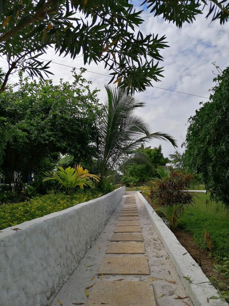 Pemba Paradise image