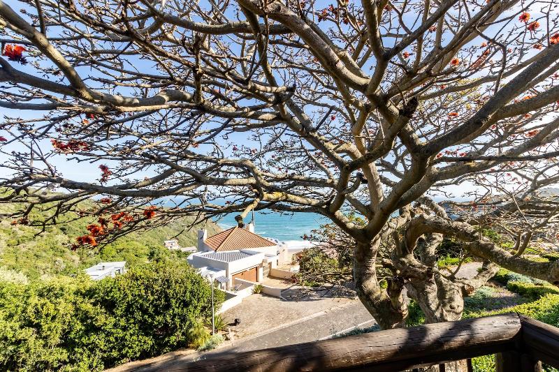 Dutton's Cove Guesthouse — general view