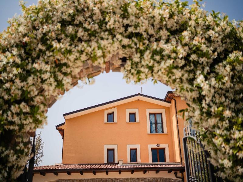 Casale Degli Ulivi image