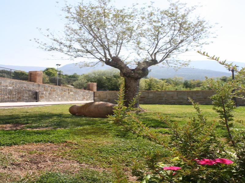 Casale Degli Ulivi image