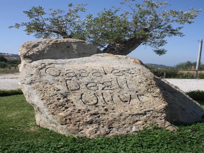 Casale Degli Ulivi image