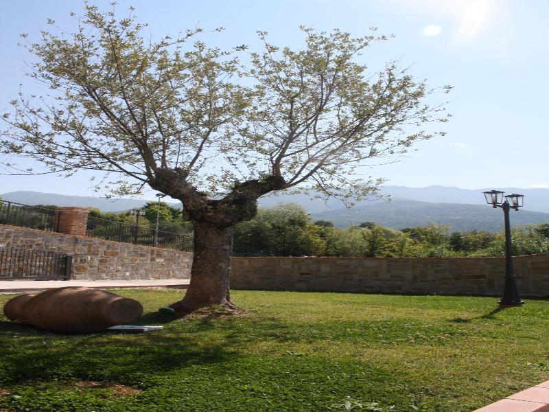 Casale Degli Ulivi image
