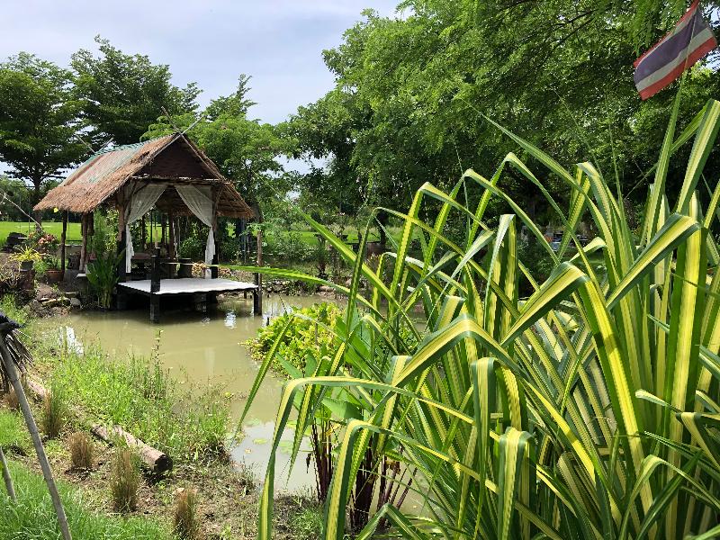 Metha Country View Homestay
