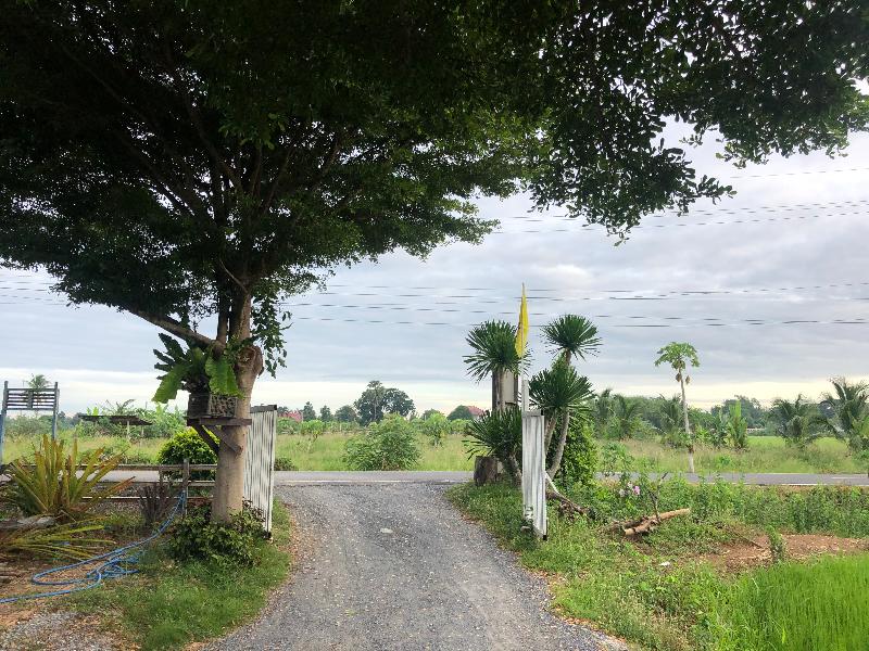 Metha Country View Homestay