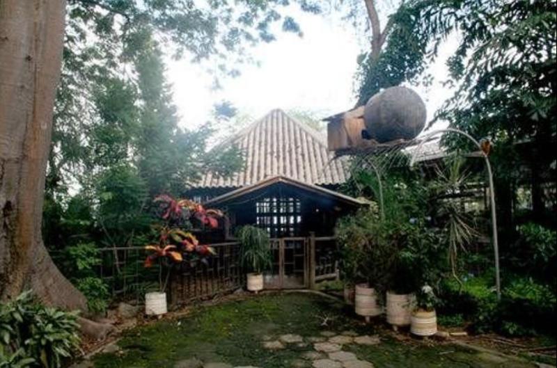 SAIANANDA ECO-HOTEL — photo 2