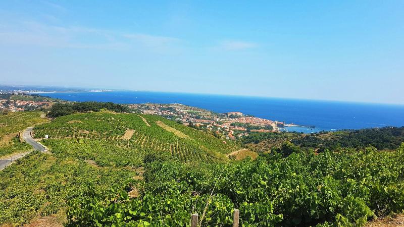 Village Vacances Azureva Argeles-sur-Mer image