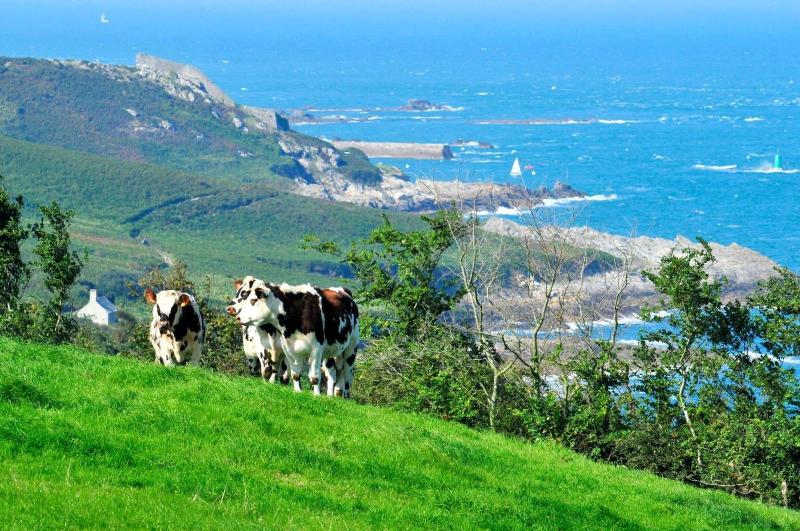 Azureva Hauteville-sur-Mer image