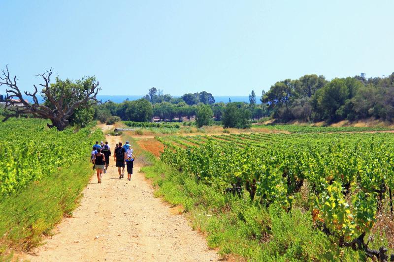 Azureva La Londe Les Maures image