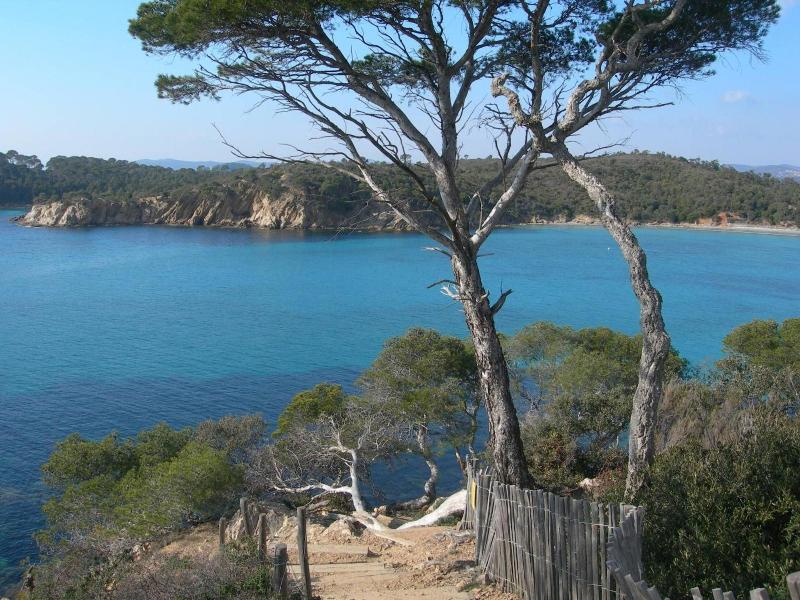 Azureva La Londe Les Maures image