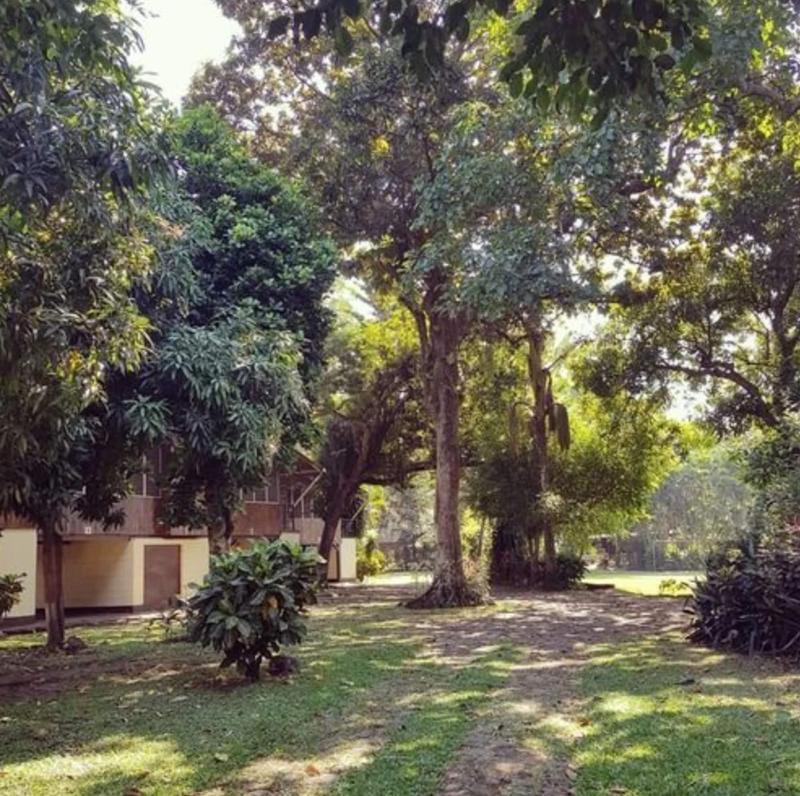Hotel La Colonia image