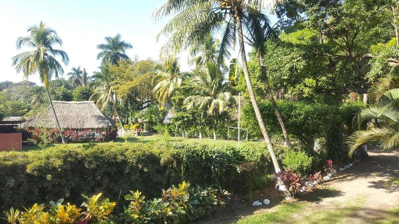 Hotel La Colonia image