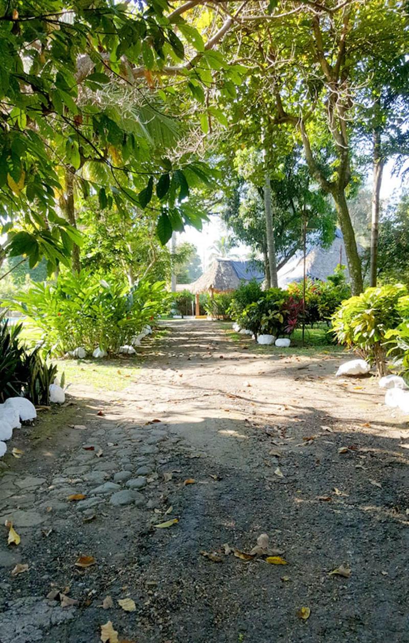 Hotel La Colonia image