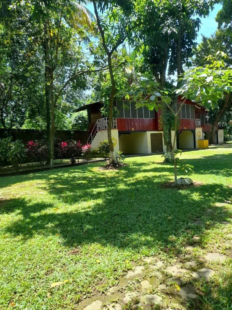 Hotel La Colonia image