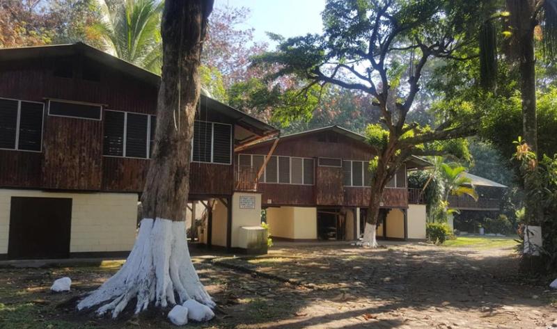 Hotel La Colonia image