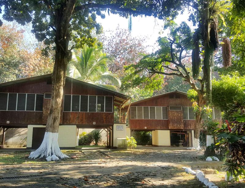Hotel La Colonia image