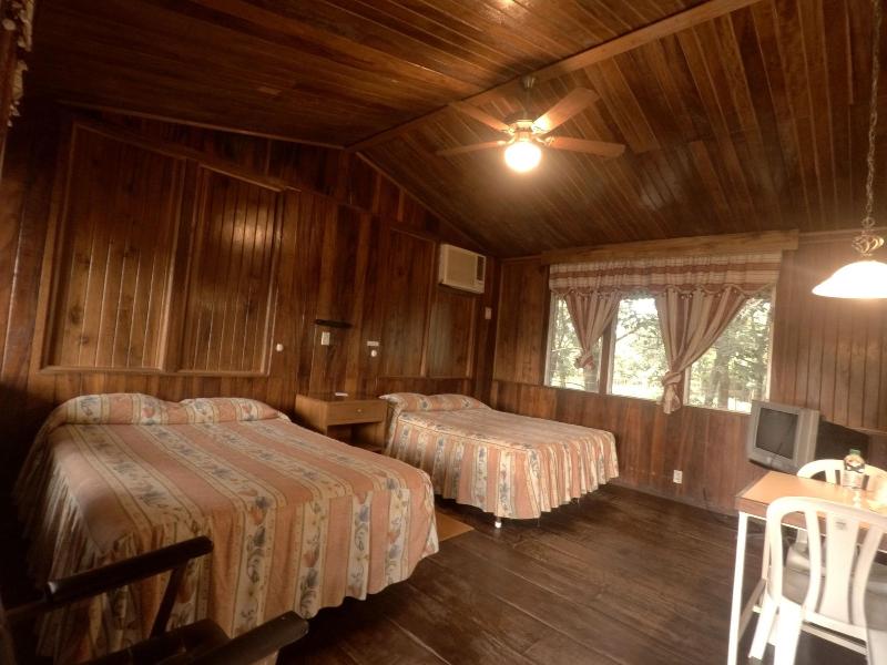Hotel La Colonia image