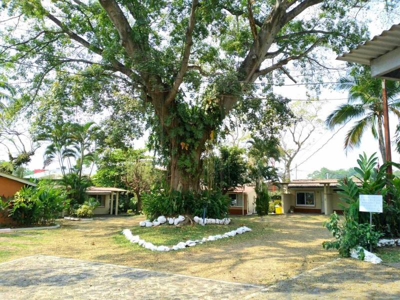 Hotel La Colonia image
