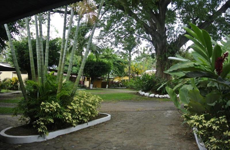 Hotel La Colonia image