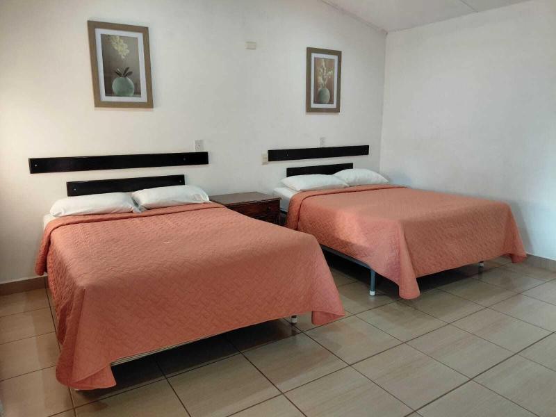 Hotel La Colonia image