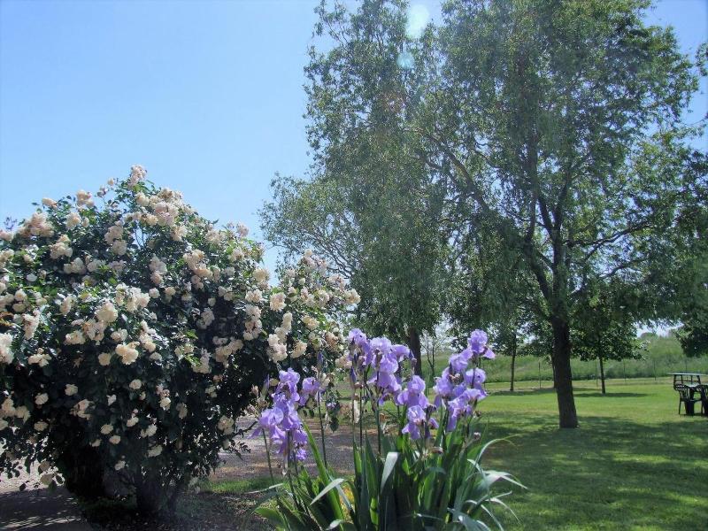 Agriturismo Sesta Presa image