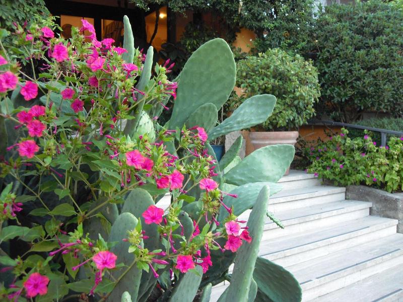Eco Hotel Il Casale image
