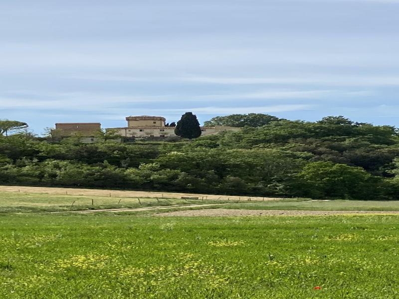 Agriturismo Il Cerreto image