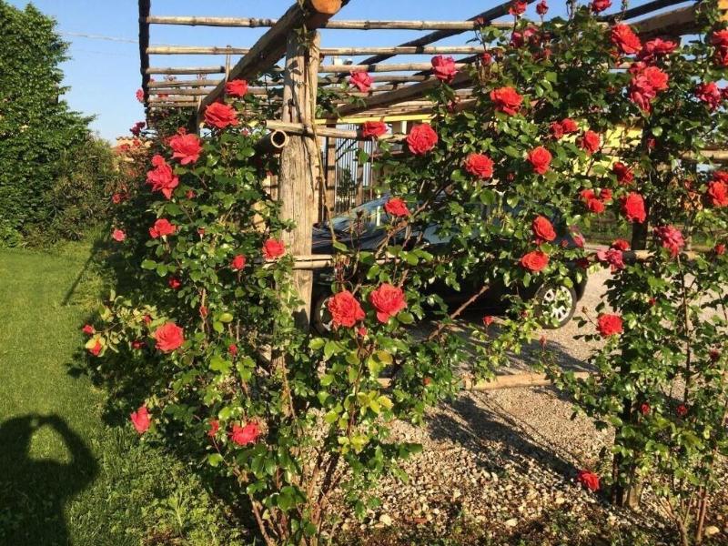 Corte Breda Agriturismo Bed & Breakfast image