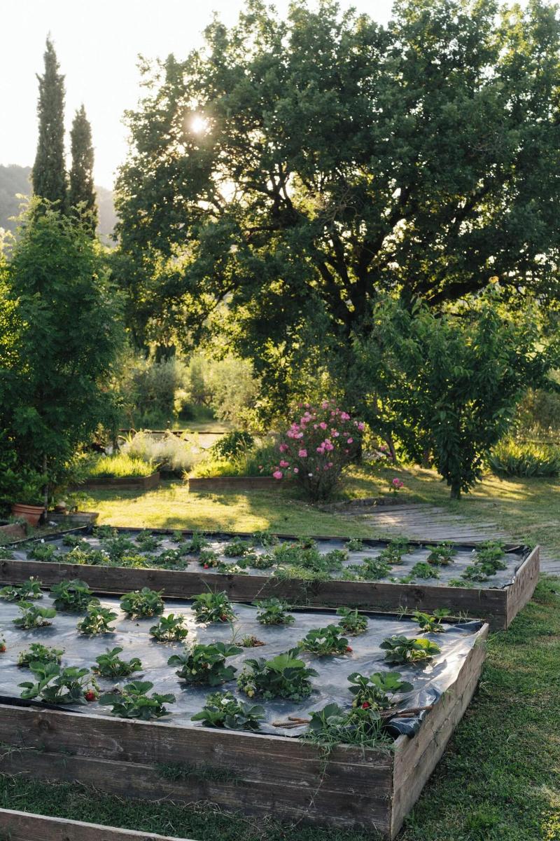 Agriturismo Cuprena image