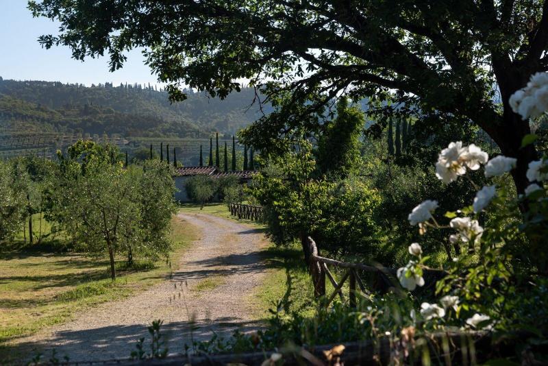Agriturismo Cuprena image