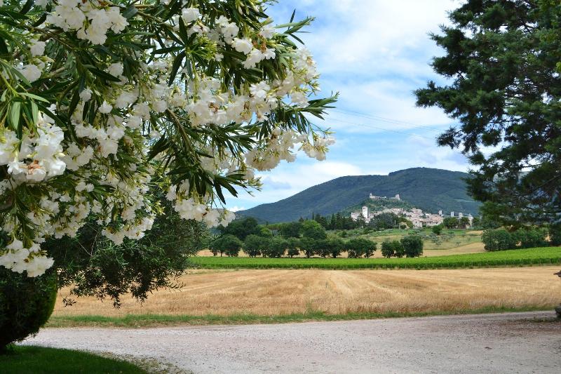 Camere I Monelli image