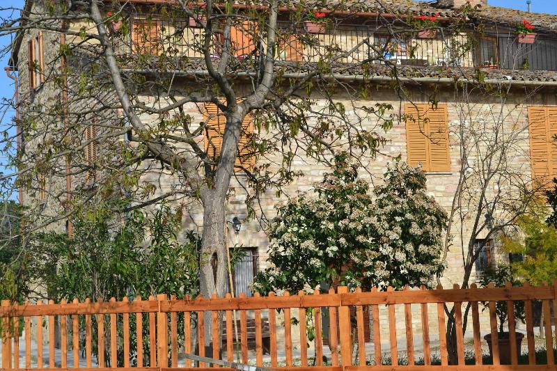 Camere I Monelli image