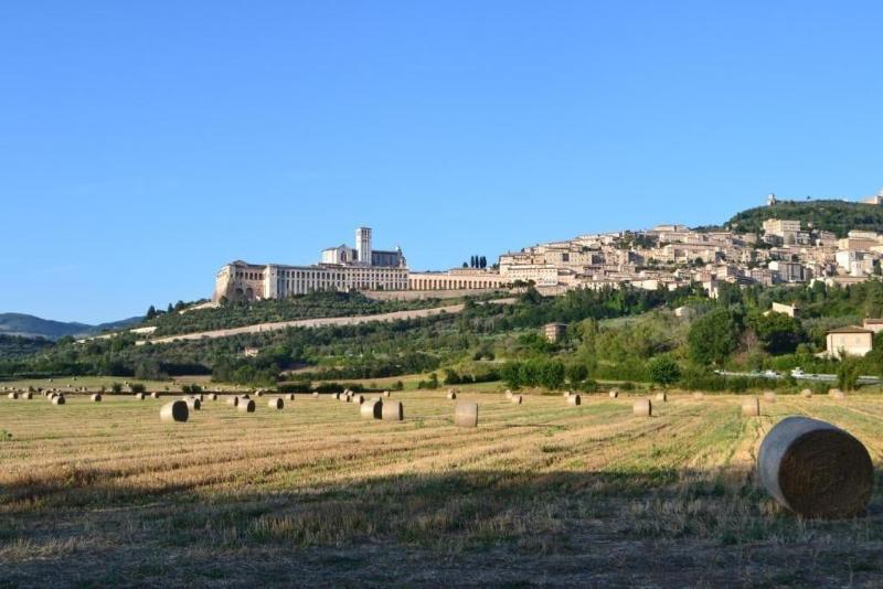 Camere I Monelli image