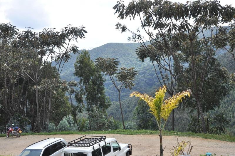 Kitabi