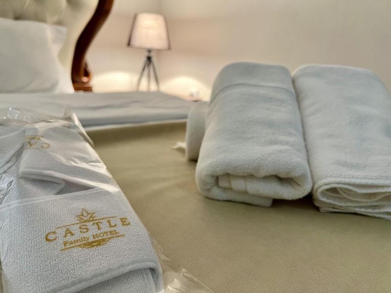 Castle Family Hotel image