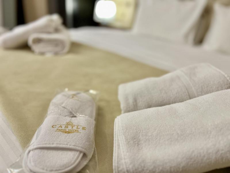 Castle Family Hotel image