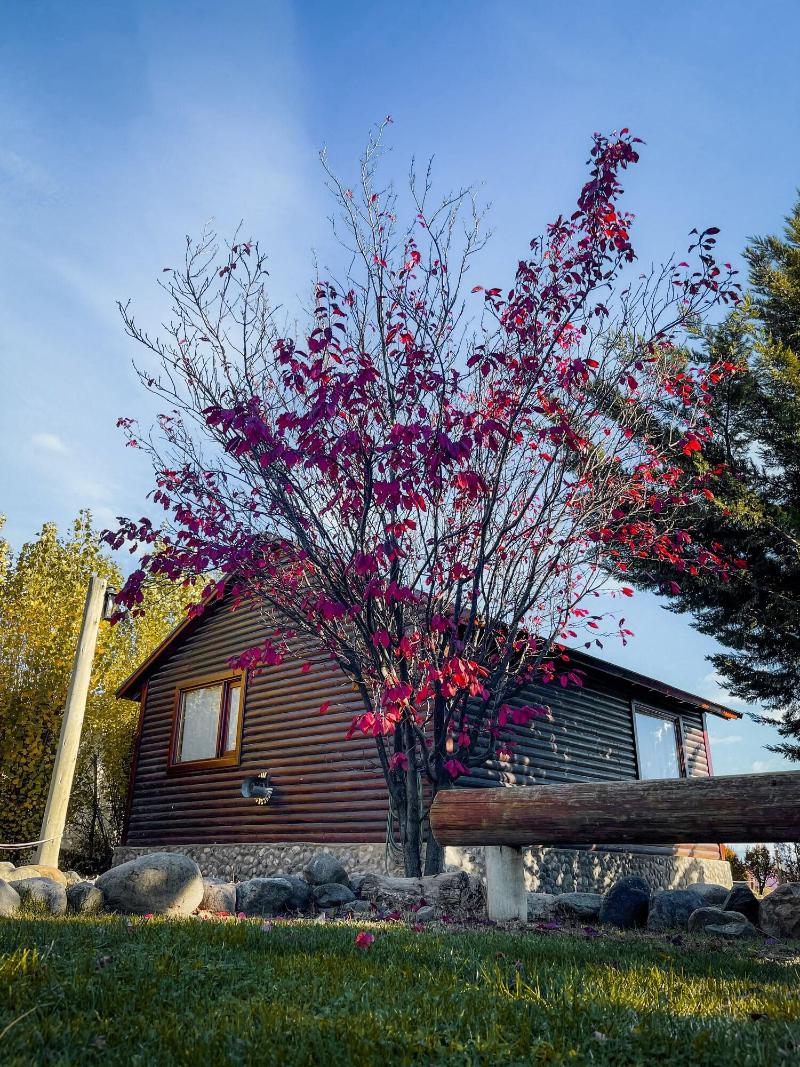 Paraiso Patagonico Bungalows and Apart image