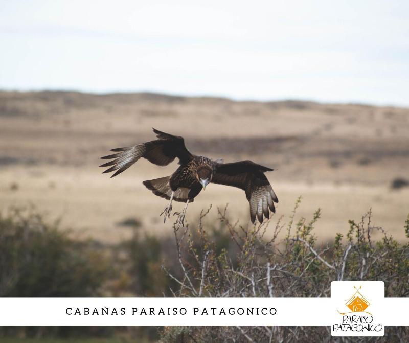 Paraiso Patagonico Bungalows and Apart image