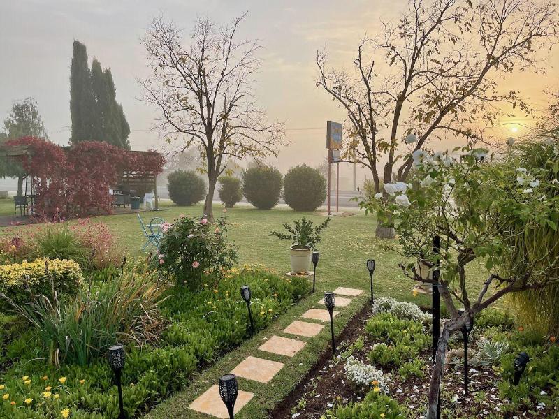 Quirindi Sunflower Motor Inn image