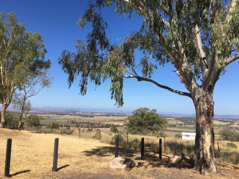 Quirindi Sunflower Motor Inn image