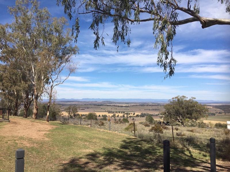 Quirindi Sunflower Motor Inn image