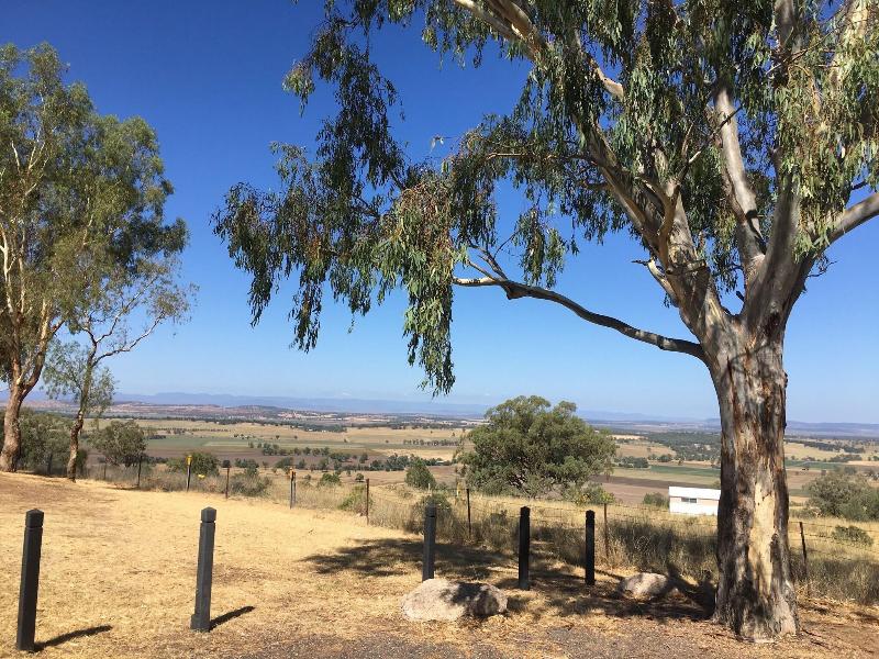 Quirindi Sunflower Motor Inn image