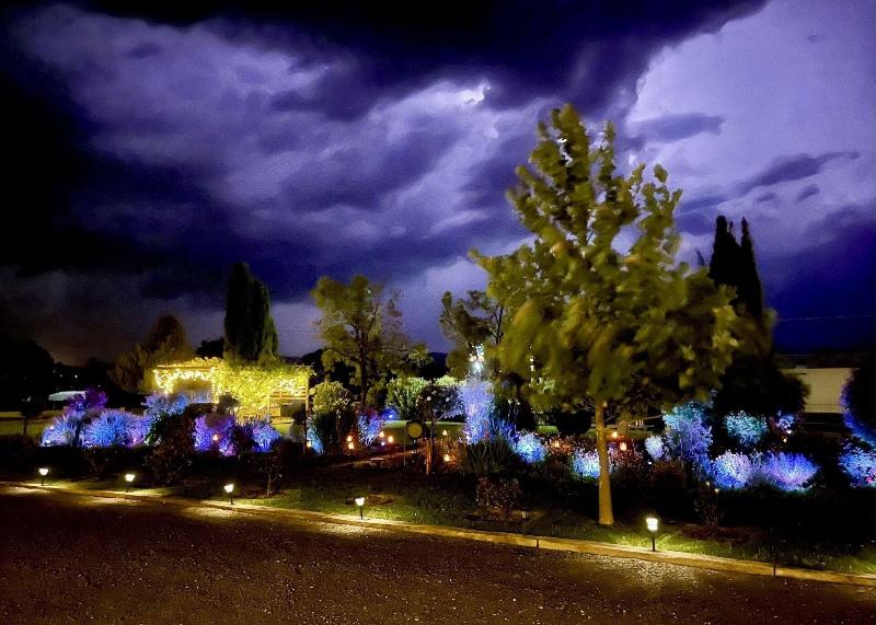 Quirindi Sunflower Motor Inn image